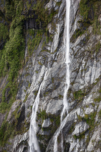 新西兰南岛 Franz 约瑟夫冰川瀑布和植被
