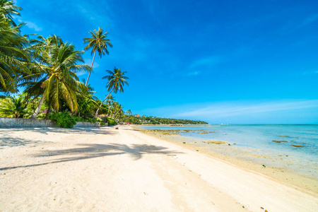 美丽的热带海滩海和沙子与椰子棕榈树在蓝天白云为旅行和假期