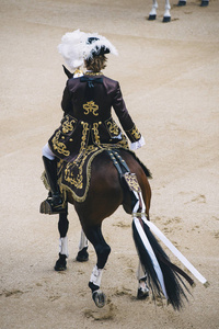 斗牛.斗牛士和马战斗在典型的西班牙斗牛