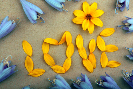 花瓣花黄色爱文本蓝色芽图片
