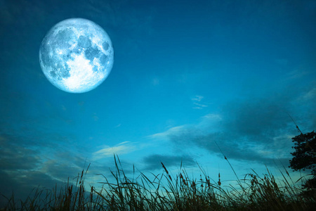 全血月亮在剪影草和五颜六色的天空, 这个图片的元素由 Nasa 装备