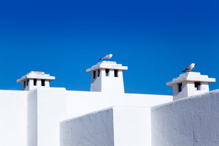 巴利阿里地中海白色房子与海鸥