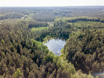 无人机图像。由松树林和田野所包围的乡村湖泊。拉脱维亚沼泽地区夏季日