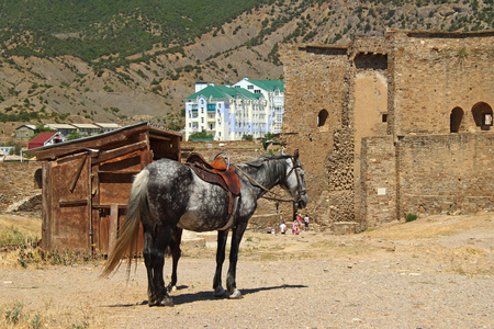 克里米亚苏达克 古城堡的马