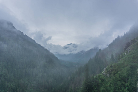 Tatra 多雾的大山景色。Tatra 国家公园。波兰, 欧洲。戏剧性的场面。美容天地