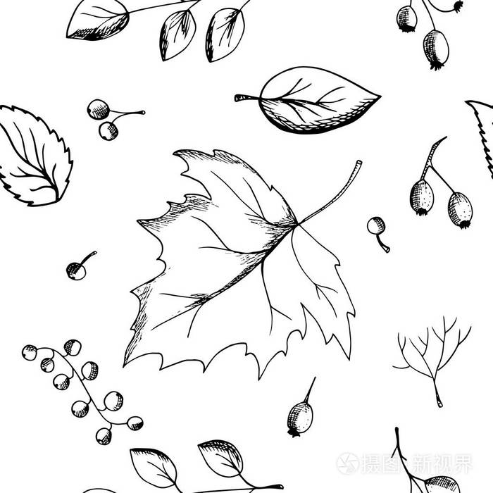 素描风格中