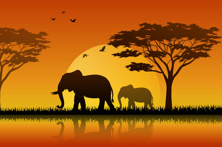 日落时的大象剪影插图