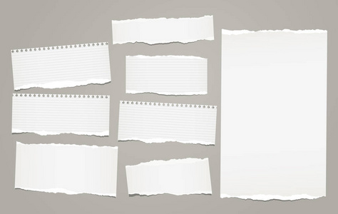 白色衬里撕裂的笔记, 笔记本纸片断为文本停留在灰色背景。矢量插图