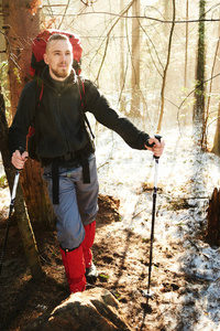 英俊的男性徒步旅行者与背包和波兰人站在森林中的树木