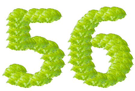 绿叶 5 和 6 的数字字母字符