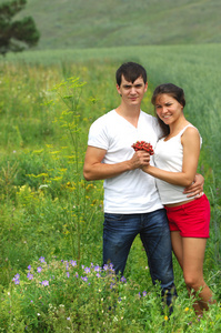 爱的故事。wheatfield，松木，手中的草莓