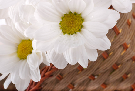 白色的花，在编织篮子中的字段