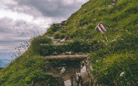 陡峭的山上可怕的远足路径。在草地上的一块石头上徒步旅行, brienzer rothorn 瑞士