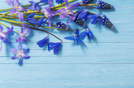 在蓝色木背景的春天的花朵