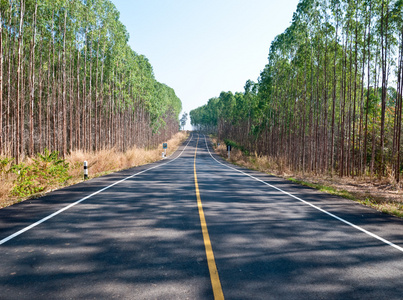 沿花园路