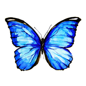 美丽的蓝色蝴蝶, 水彩, 孤立的白色