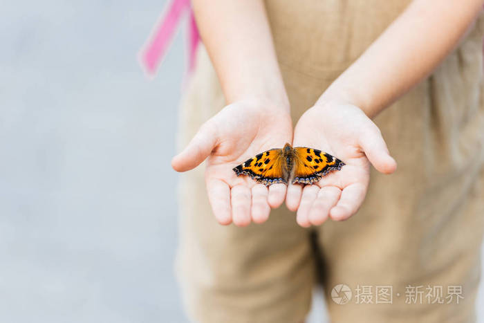 小孩子手捧蝴蝶的镜头