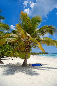 热带海滩与棕榈和白色的沙滩