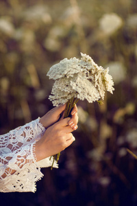 女人手捧着鲜花在田野里, 在原野上生活, 夏, 秋天心情, 波西米亚风格