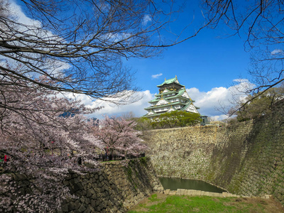 美丽的大阪城堡通过樱花分支和石头银行护城河与蓝天背景, 日本