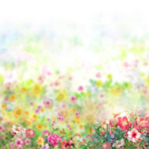 抽象的七彩花朵水彩画。在五彩斑斓的春天