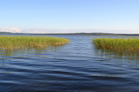 kavgolovskoe 湖