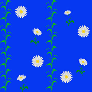 甘菊花纹白色蓝色植物群壁纸图片