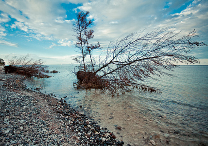 野生海滩