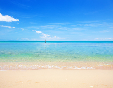 海滩和热带海