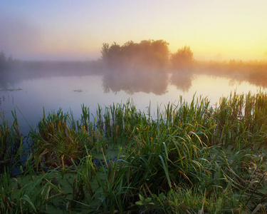河上雾的早晨
