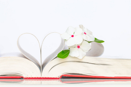 一本书的书页变成了心形和白色的花朵