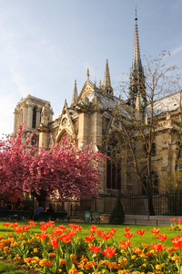 法国巴黎圣母院大教堂在春天的时间，巴黎