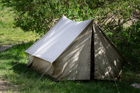 野营和松树林下的帐篷