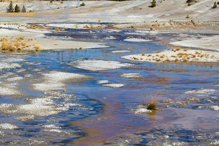诺里斯间歇泉盆地在黄石国家公园，美国