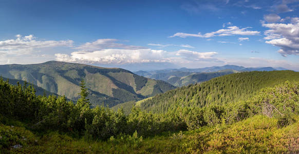 从低 Tatras 山的全景看蓝天白云斯洛伐克, 欧洲