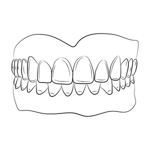 人颚齿。矢量绘图插图