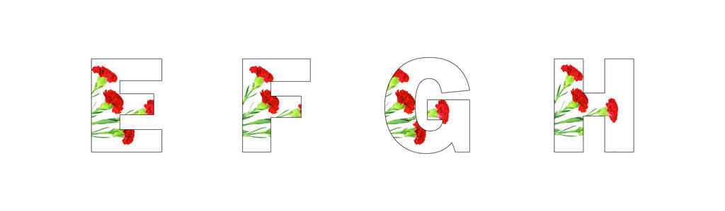 花字体字母 a z 由康乃馨花在白色背景下