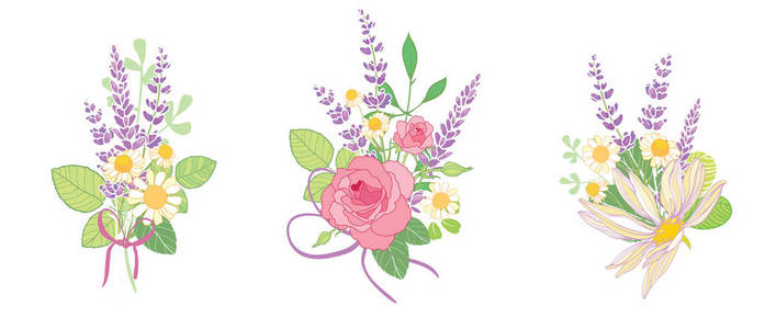 一套三朵玫瑰和薰衣草花花束。美丽的紫罗兰色薰衣草花和粉红色玫瑰收藏。图形设计元素