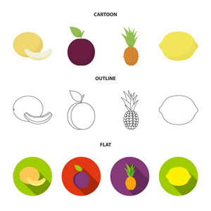 瓜, 李子, 菠萝, 柠檬。水果集合图标在卡通, 轮廓, 平面风格矢量符号股票插图