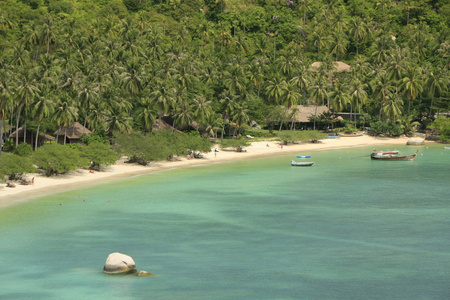 鲨鱼湾，ko tao，泰国