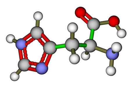 人体必需的氨基酸必需氨基酸组氨酸分子的结构照片