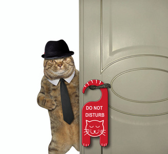 猫先生关上了门。门把手上挂着一个牌子 请勿打扰。白色背景