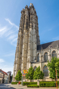 查看在梅赫伦比利时教堂圣兰伯尔德钟楼