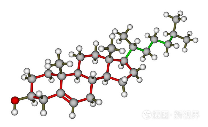 胆固醇分子