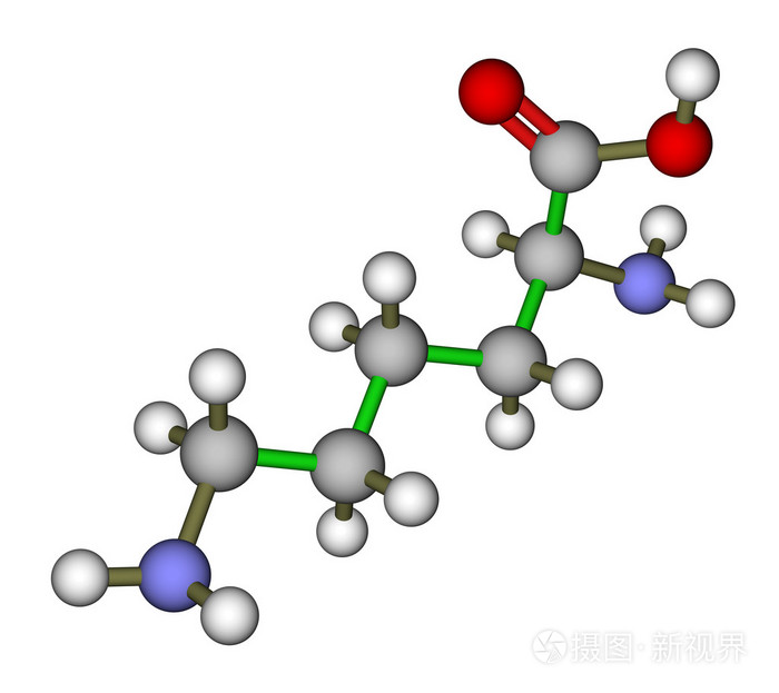 赖氨酸分子的结构