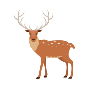 白色背景可爱的鹿。矢量插图