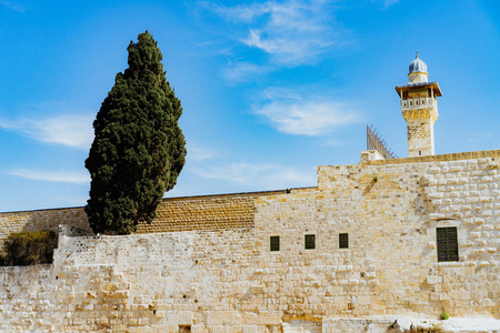 耶路撒冷有一座高大的大树和守卫塔的石墙