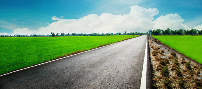 沥青混凝土路面通过绿色领域和云对蓝色的天空在夏季的一天