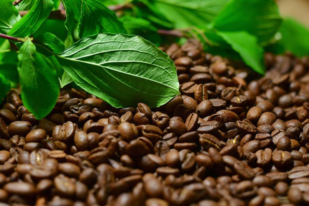 用绿叶关闭咖啡豆