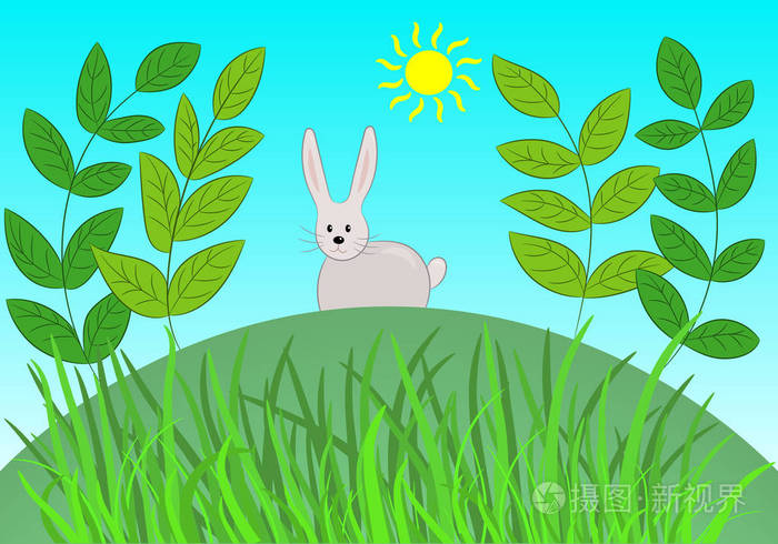 滑稽的灰色兔子坐在绿色小山在草和晒太阳